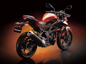 Ninja Z250sl Naked bike